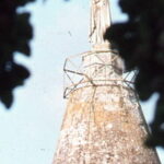 cropped-Moulin-Vierge-01.jpg
